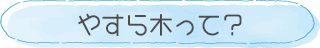 やすら木って？