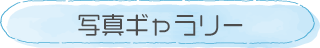 職員写真ギャラリー